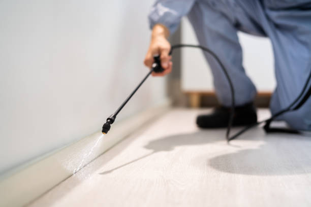Licensed Termite Control service in Wright County County, MN - Nex Pest Control