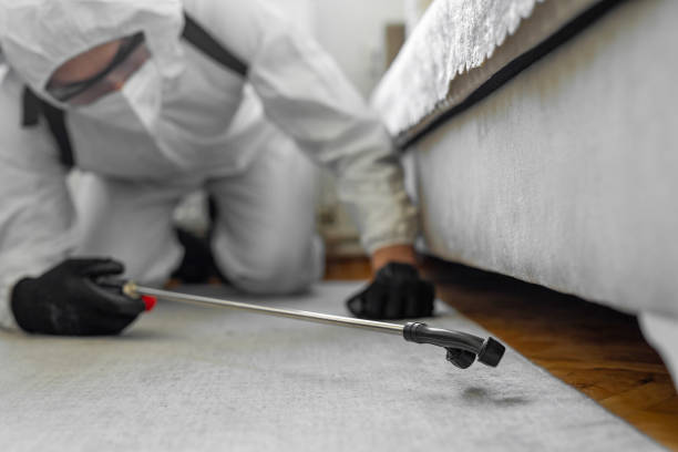 Professional Termite Control technician working in Wright County County, MN